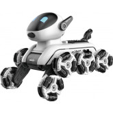 RoboPes Fleg