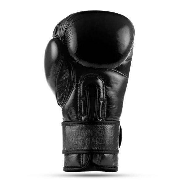 Boxerské rukavice DBX BUSHIDO Warrior BLACK 10oz.