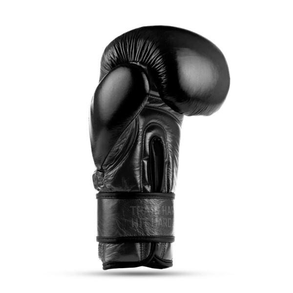 Boxerské rukavice DBX BUSHIDO Warrior BLACK 10oz.