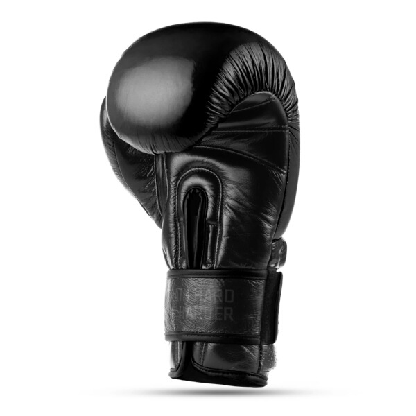 Boxerské rukavice DBX BUSHIDO Warrior BLACK 14oz.
