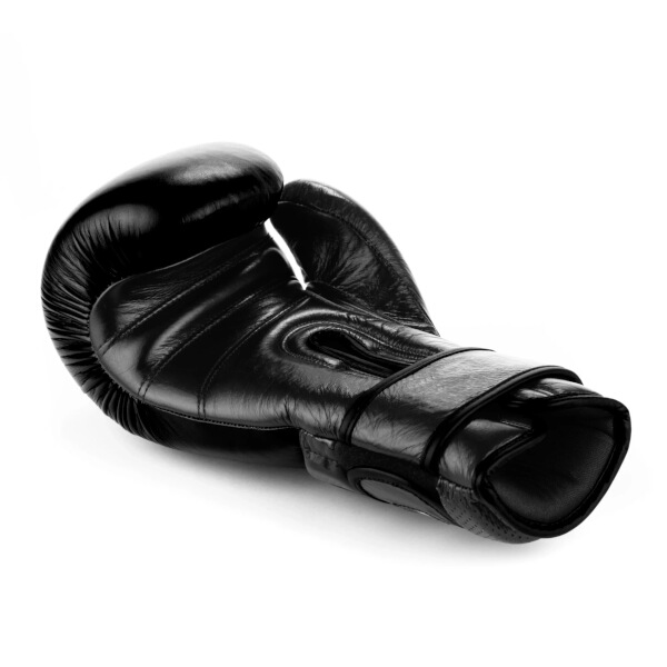 Boxerské rukavice DBX BUSHIDO Warrior BLACK 14oz.