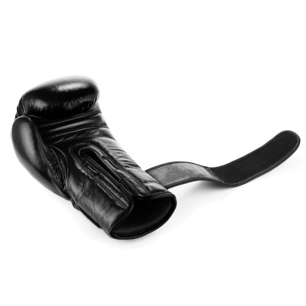 Boxerské rukavice DBX BUSHIDO Warrior BLACK 16oz.