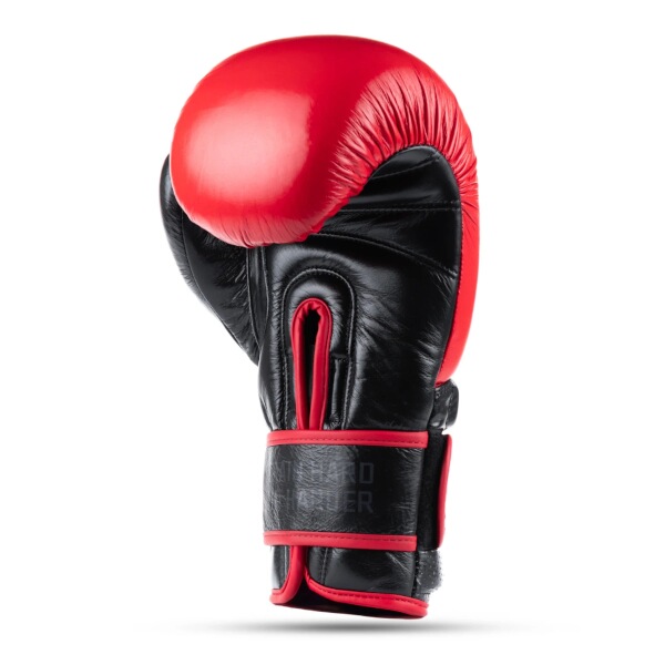 Boxerské rukavice DBX BUSHIDO Warrior RED 10oz.