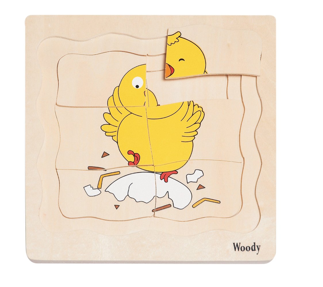 Woody Puzzle na desce - Vývoj slepice