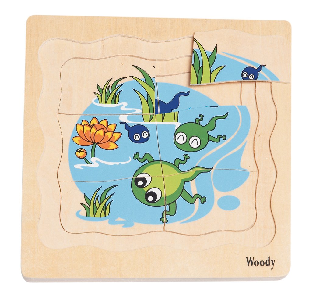 Woody Puzzle na desce - Vývoj žáby