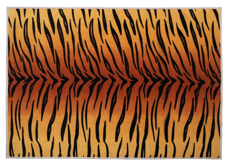 Bellatex Přikrývka Korall micro jednolůžko, Tygr - 150x200 cm