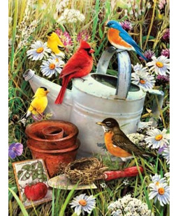 Royal Langnickel Malování podle čísel - Ptáčci na konvi,  22x30 cm