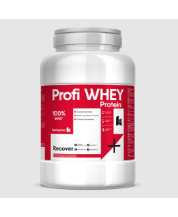 Kompava Profi WHEY Protein, perník, 2000g