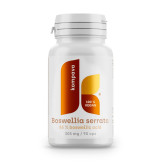 Kompava Boswellia serrata, 90 kapslí 305mg