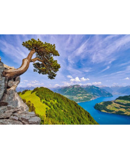 Castorland puzzle 1000 dílků - Výhled na jezero Uri, Švýcarsko