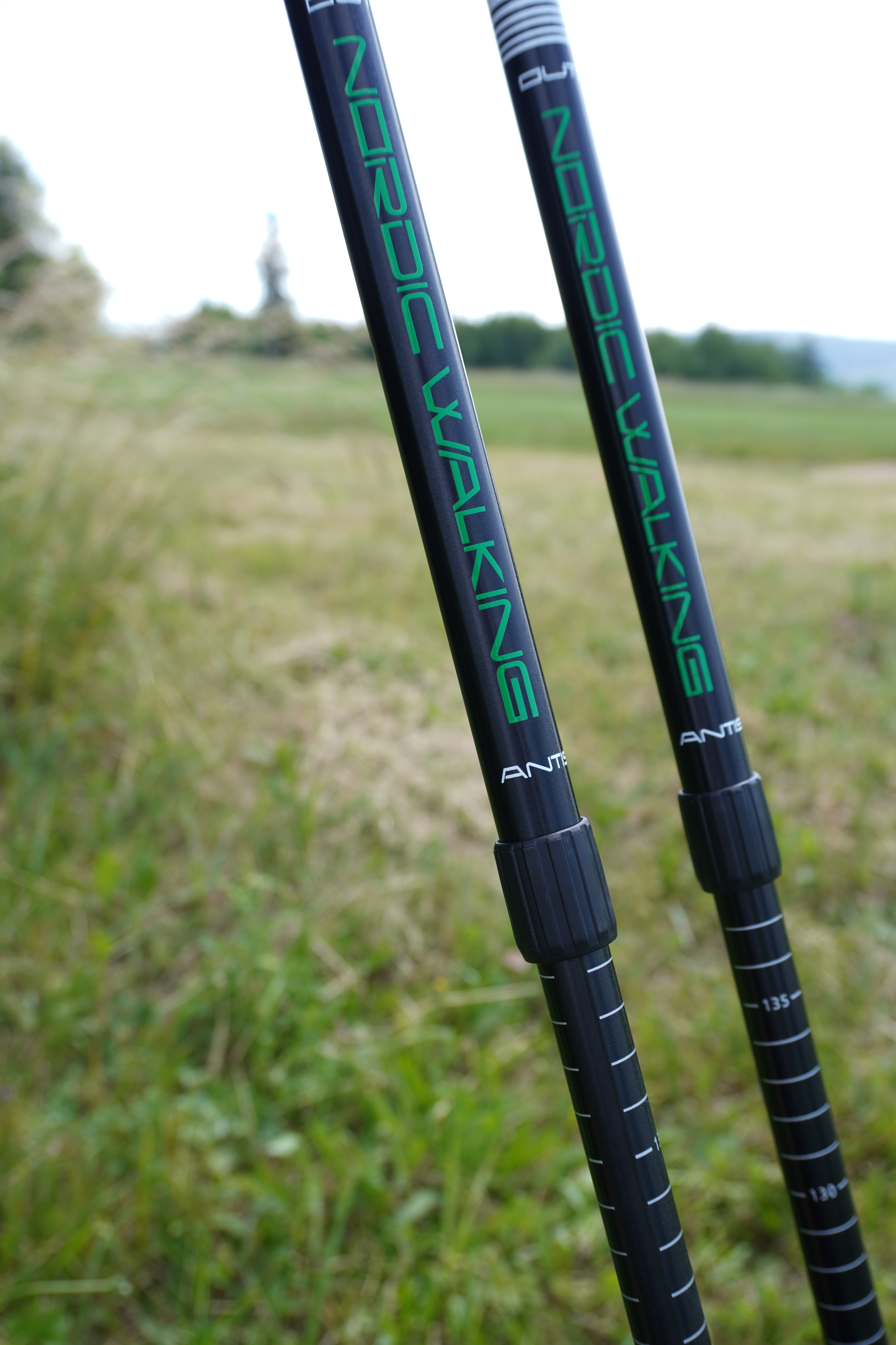 Nordic walking hole grafitové odlehčené, 72-145 cm
