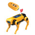 BUKI RC Robopes miniLab