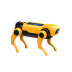 BUKI RC Robopes miniLab