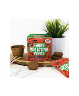 Grow KIT - Masožravka Hungry bug eating plants 