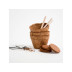Grow KIT - Masožravka Hungry bug eating plants 