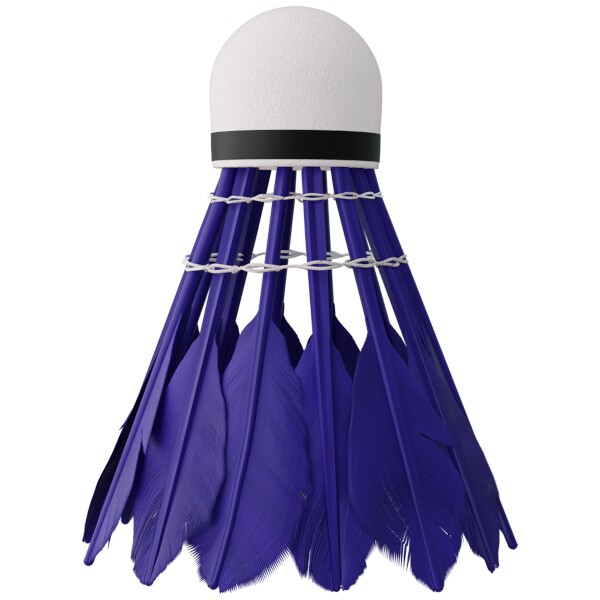 Badmintonové míčky z peří NILS NBL6213 multicolor, sada 3 ks