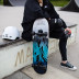 Skateboard NILS Extreme CR3108 Mountain