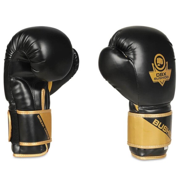 Boxerské rukavice DBX BUSHIDO B-2v10 10oz