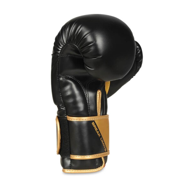 Boxerské rukavice DBX BUSHIDO B-2v10 10oz