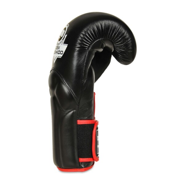 Boxerské rukavice DBX BUSHIDO BB2 10oz