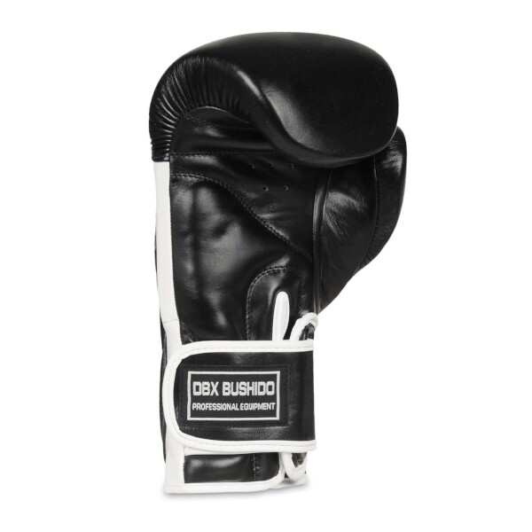Boxerské rukavice DBX BUSHIDO BB5 10oz