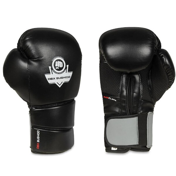 Boxerské rukavice DBX BUSHIDO B-2v9 10oz.
