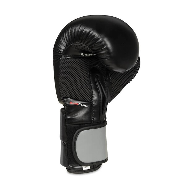 Boxerské rukavice DBX BUSHIDO B-2v9 10oz.