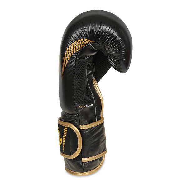 Boxerské rukavice DBX BUSHIDO B-2v13 10oz.