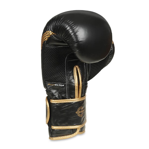 Boxerské rukavice DBX BUSHIDO B-2v13 10oz.