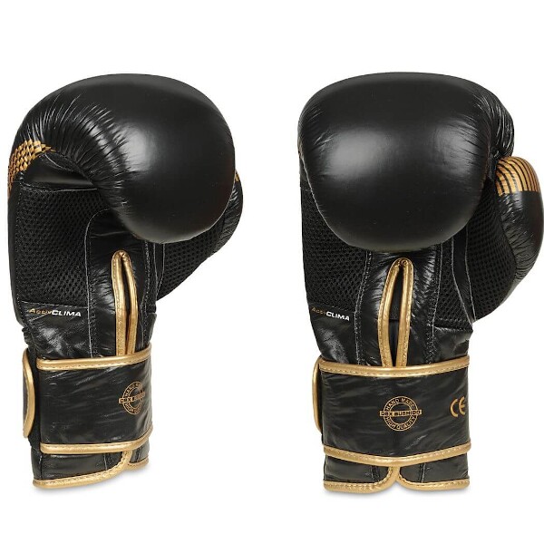Boxerské rukavice DBX BUSHIDO B-2v13 10oz.