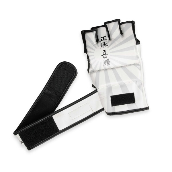 MMA rukavice DBX BUSHIDO E1v7 M