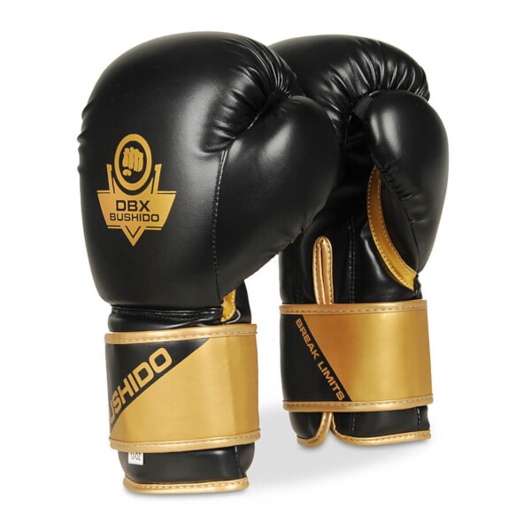 Boxerské rukavice DBX BUSHIDO B-2v10 14oz