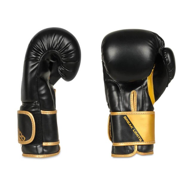 Boxerské rukavice DBX BUSHIDO B-2v10 14oz