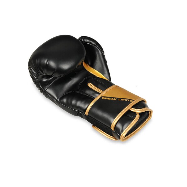 Boxerské rukavice DBX BUSHIDO B-2v10 14oz