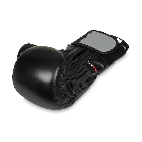Boxerské rukavice DBX BUSHIDO B-2v9 12oz.