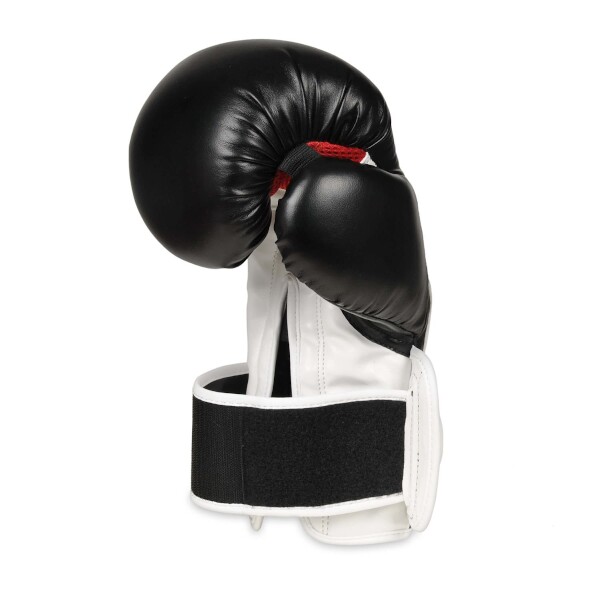 Boxerské rukavice DBX BUSHIDO B-3W 12oz.