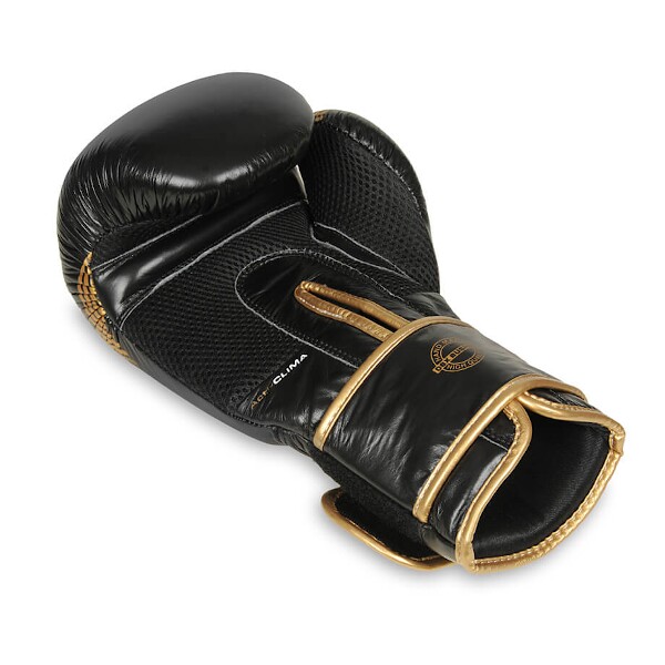 Boxerské rukavice DBX BUSHIDO B-2v13 12oz.