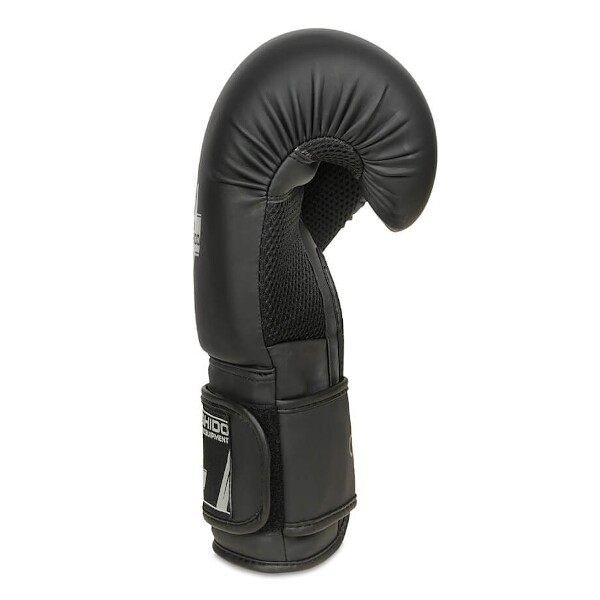 Boxerské rukavice DBX BUSHIDO B-2v12 8oz.