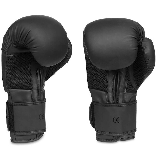 Boxerské rukavice DBX BUSHIDO B-2v12 12oz.