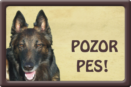 Plechová psí cedule, Belgický ovčák, Pozor pes