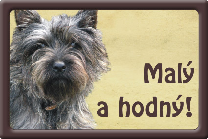 Plechová psí cedule, Cairn teriér, Malý a hodný