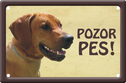 Plechová psí cedule, Rhodéský ridgebak, Pozor pes