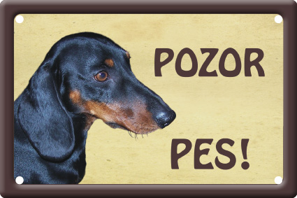 Plechová psí cedule, Jezevčík hladkosrstý, Pozor pes