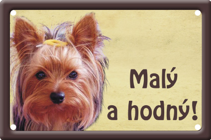 Plechová psí cedule, Yorkšírský teriér, Malý ale hodný