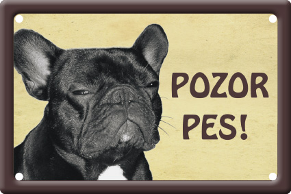 Plechová psí cedule, Francouzský buldoček, Pozor pes