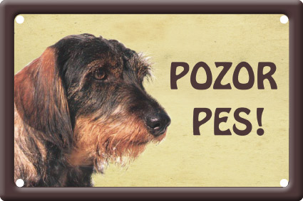Plechová psí cedule, Jezevčík drsnosrstý, Pozor pes