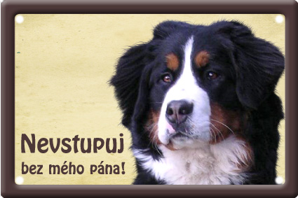 Plechová psí cedule, Bernský salašnický pes, Nevstupuj bez mého pána!