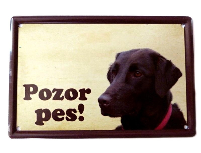 Plechová psí cedule, Flat coated retriever, Pozor pes