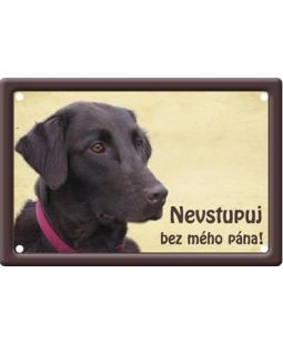 Plechová psí cedule, Flat coated retriever, Nevstupuj bez mého pána!