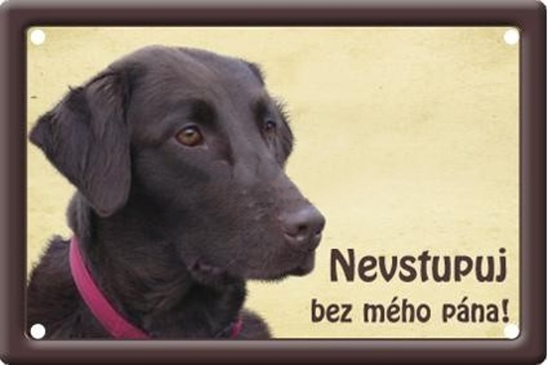 Plechová psí cedule, Flat coated retriever, Nevstupuj bez mého pána!